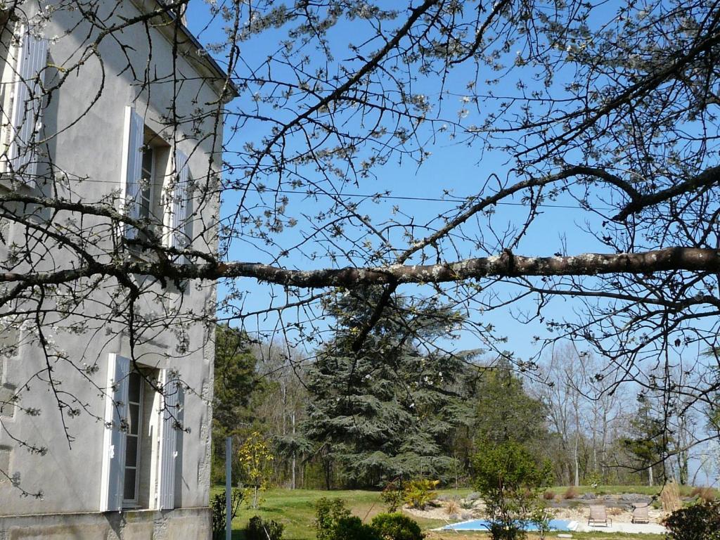 Chateau De La Comtesse Saint-Martin-Petit Exterior foto